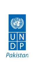 undp
